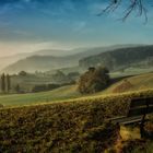 Nebel in Auflösung