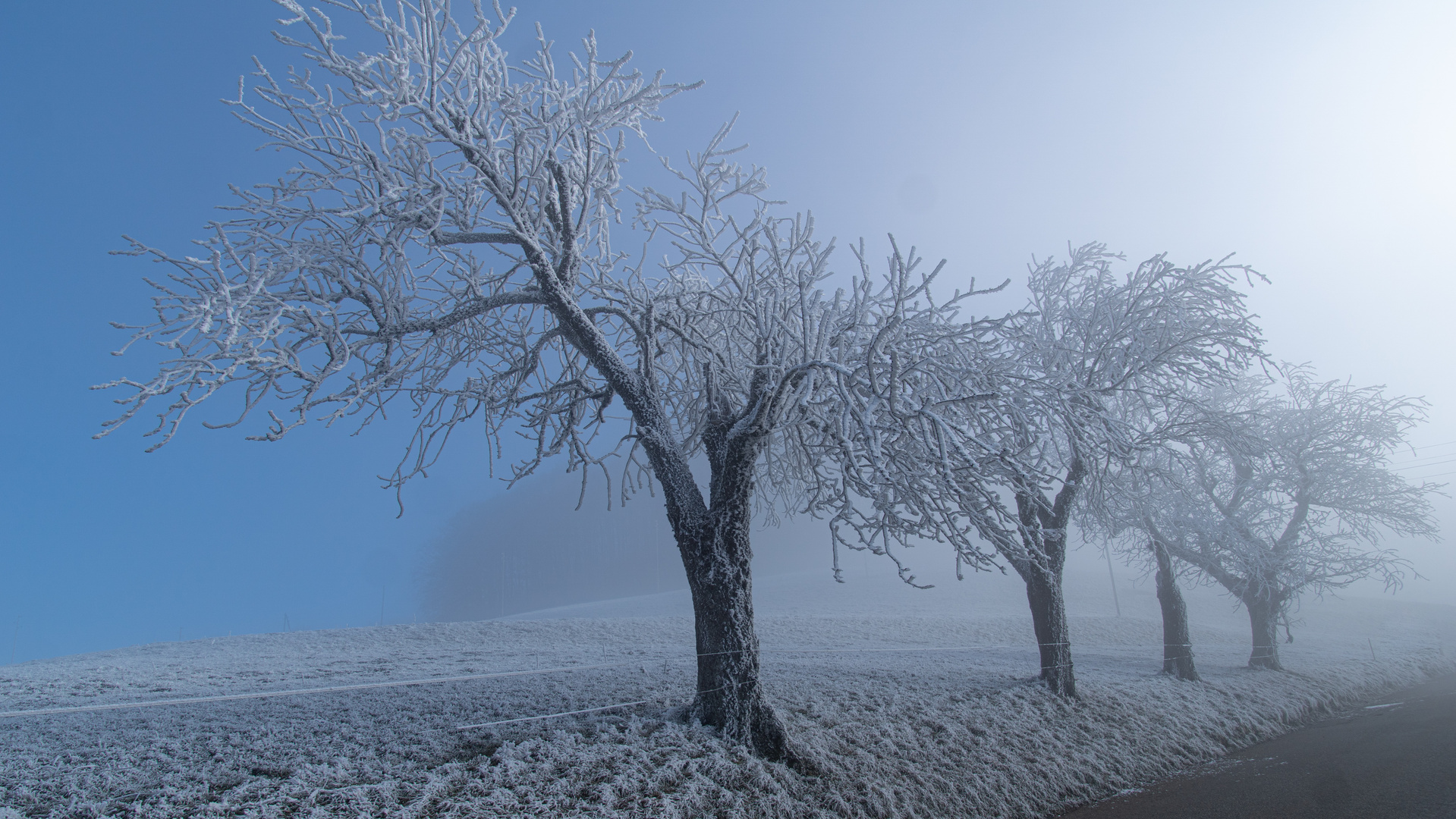 Nebel in Auflösung