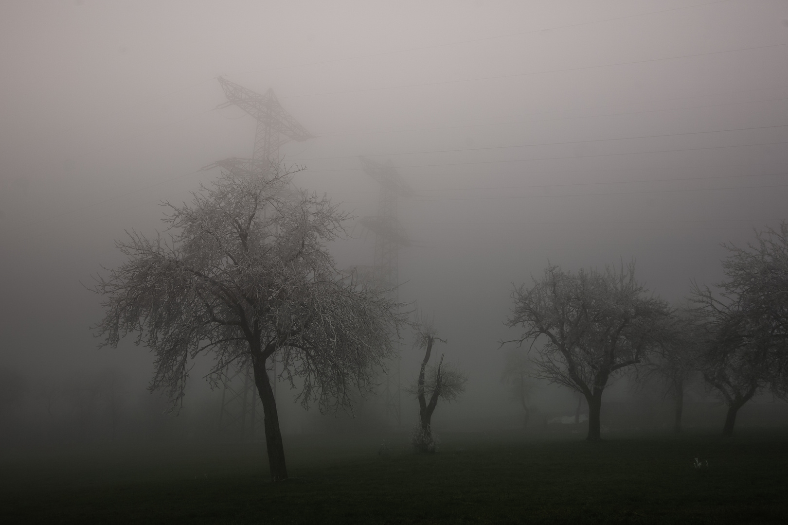 Nebel in Berau / Hotzenwald, Südschwarzwald