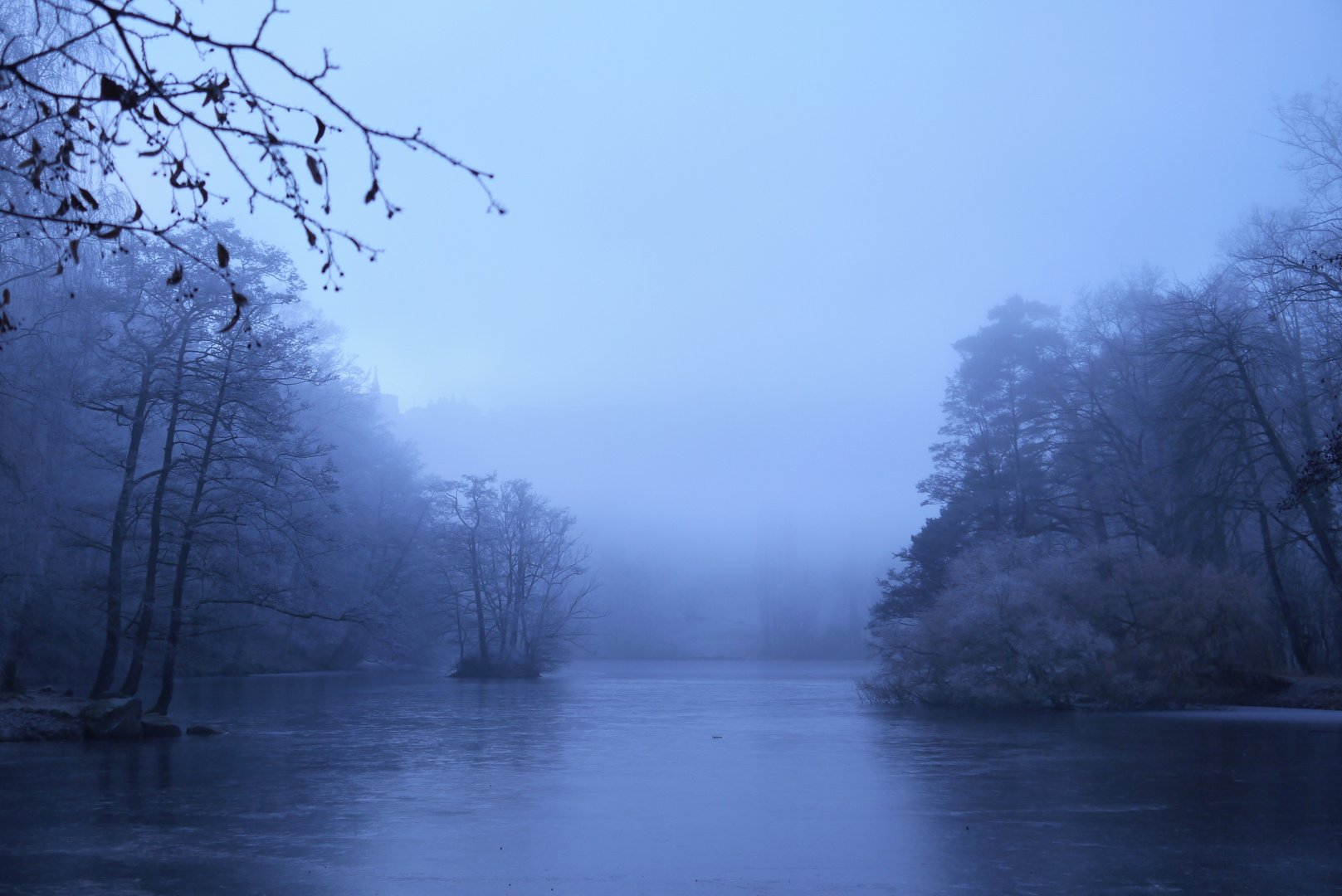 Nebel in Blau