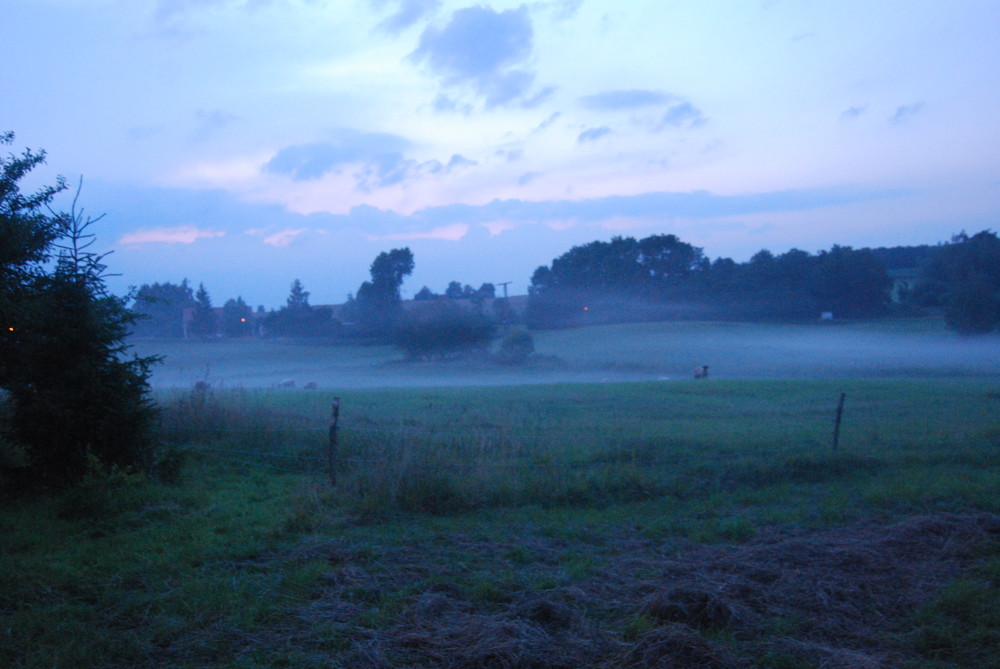 Nebel in blauer Schönheit