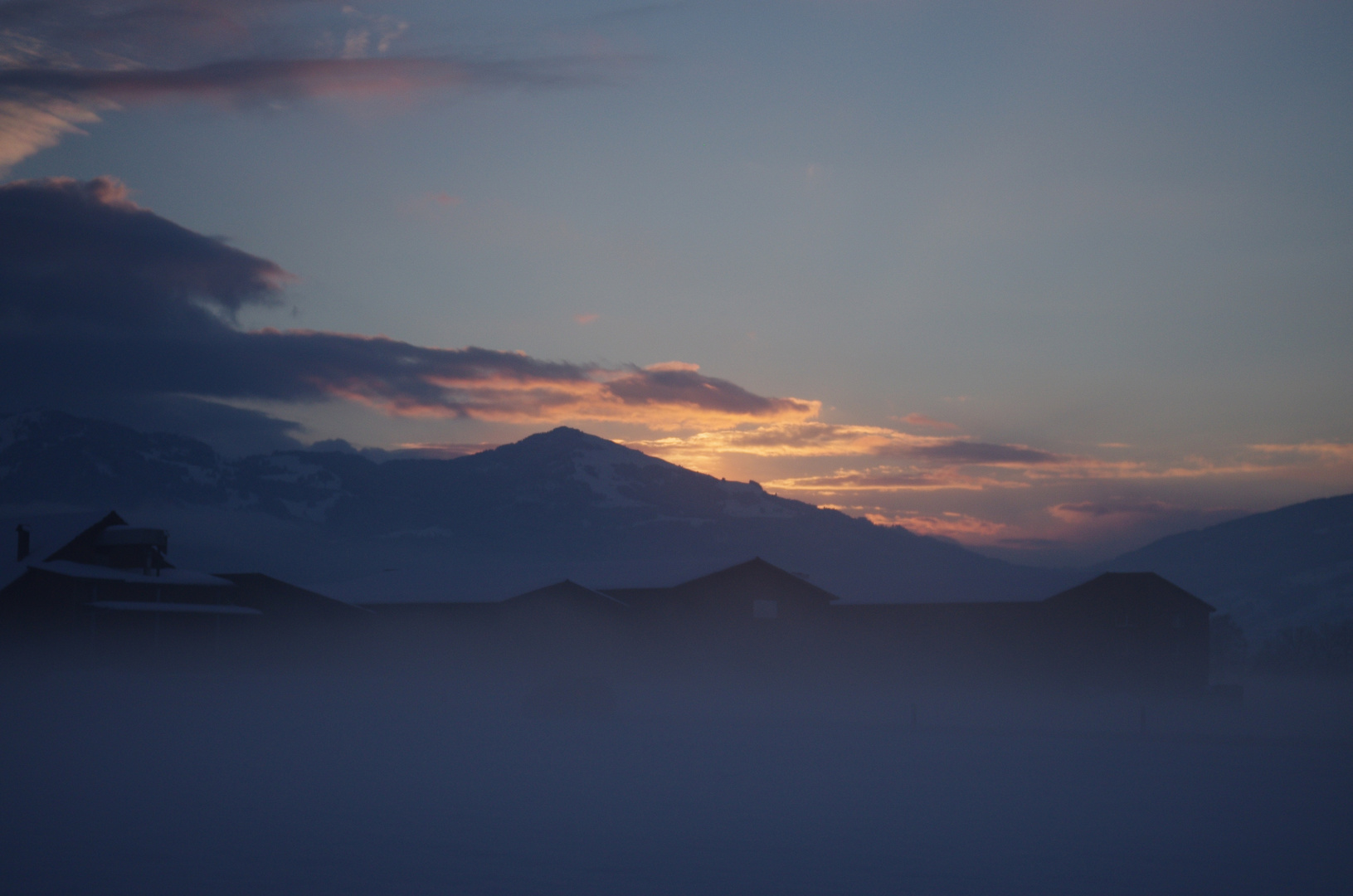 Nebel in brusthöhe...