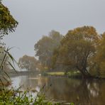 Nebel in Büchenbach 1