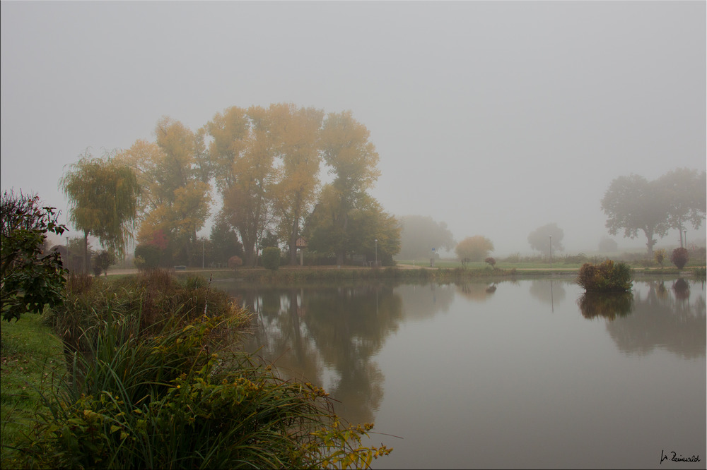 Nebel in Büchenbach 2