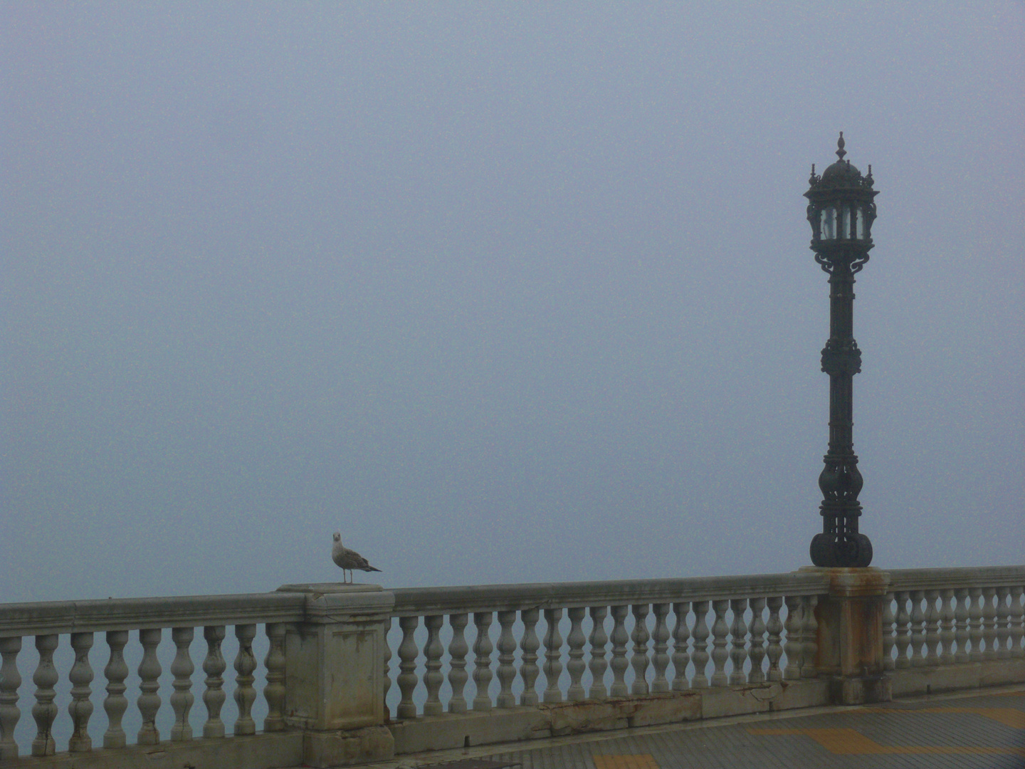 Nebel in Cádiz