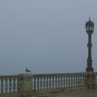 Nebel in Cádiz