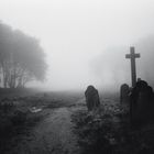 Nebel in Dartmoor