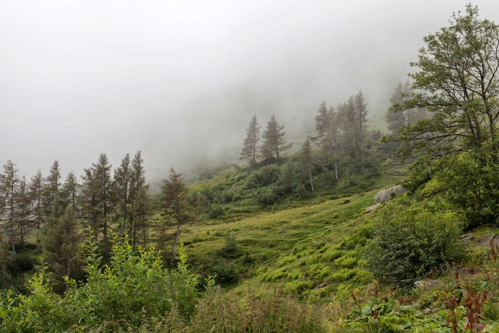 Nebel in den Bergen