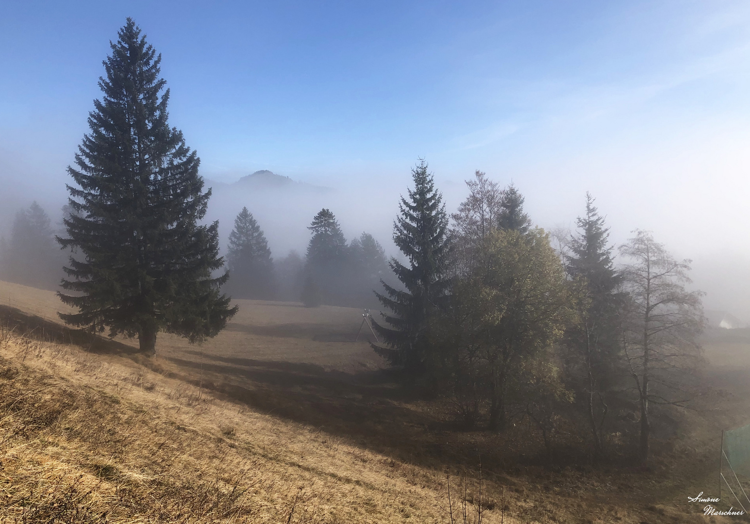 Nebel in den Bergen