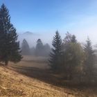 Nebel in den Bergen