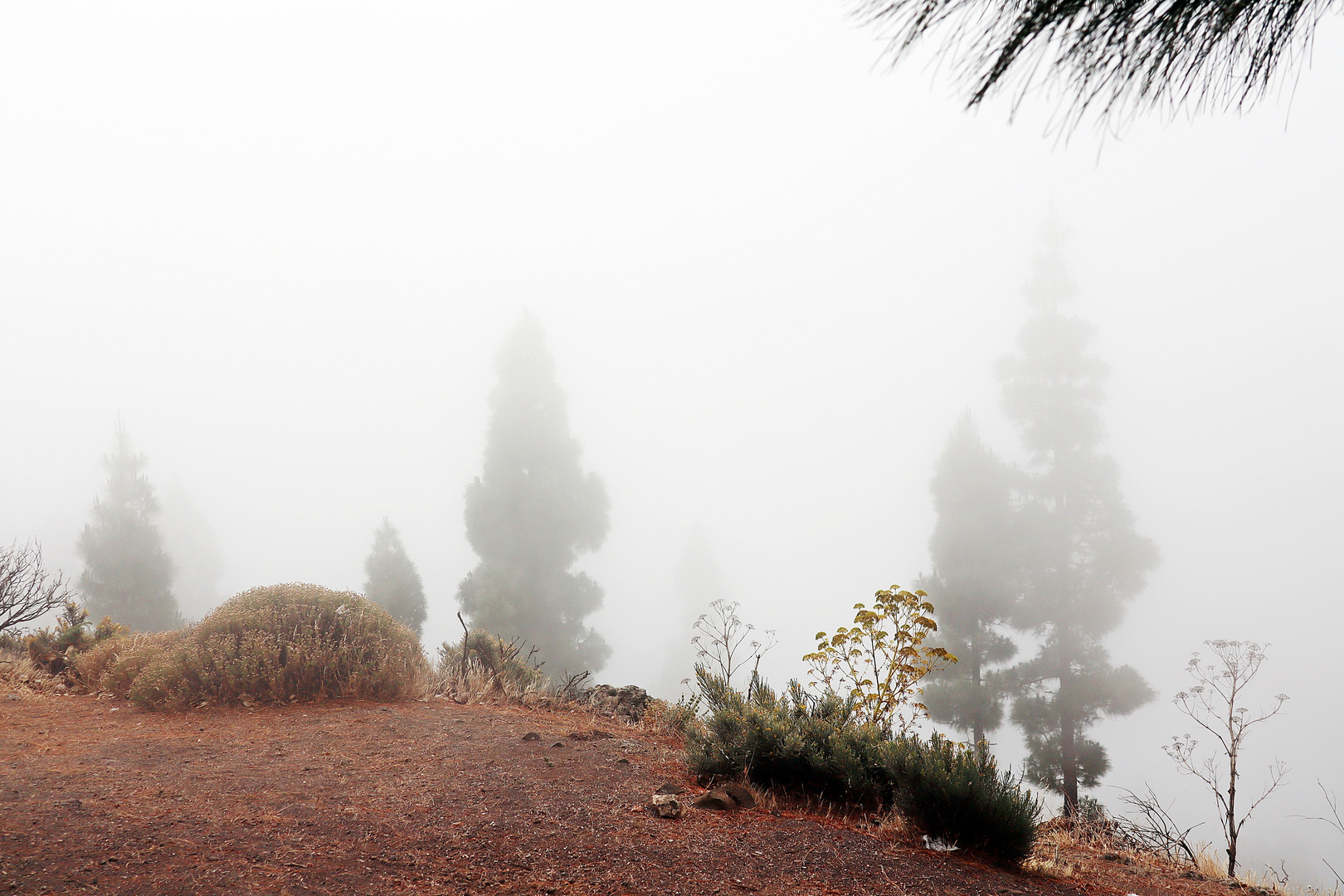 Nebel in den Bergen