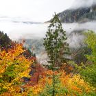 Nebel in den Bergen