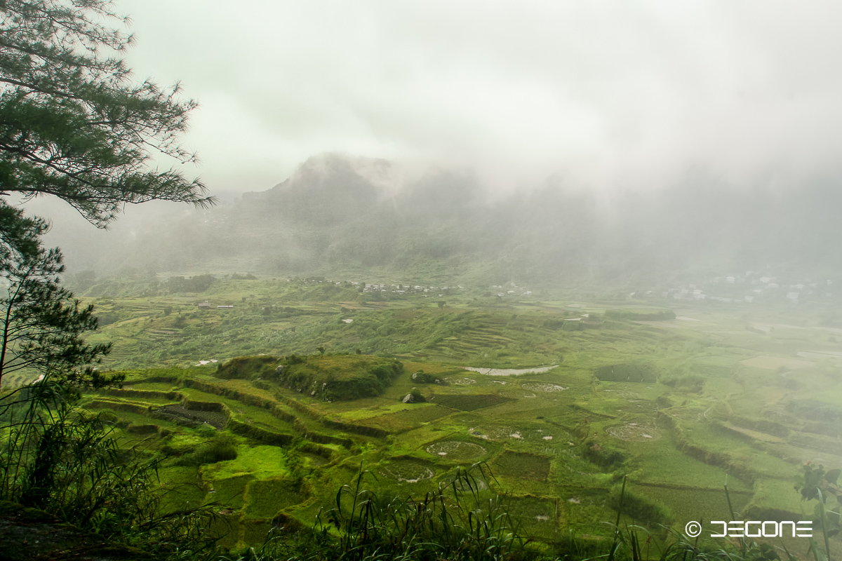 Nebel in den Bergen bei Sagada