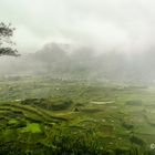 Nebel in den Bergen bei Sagada