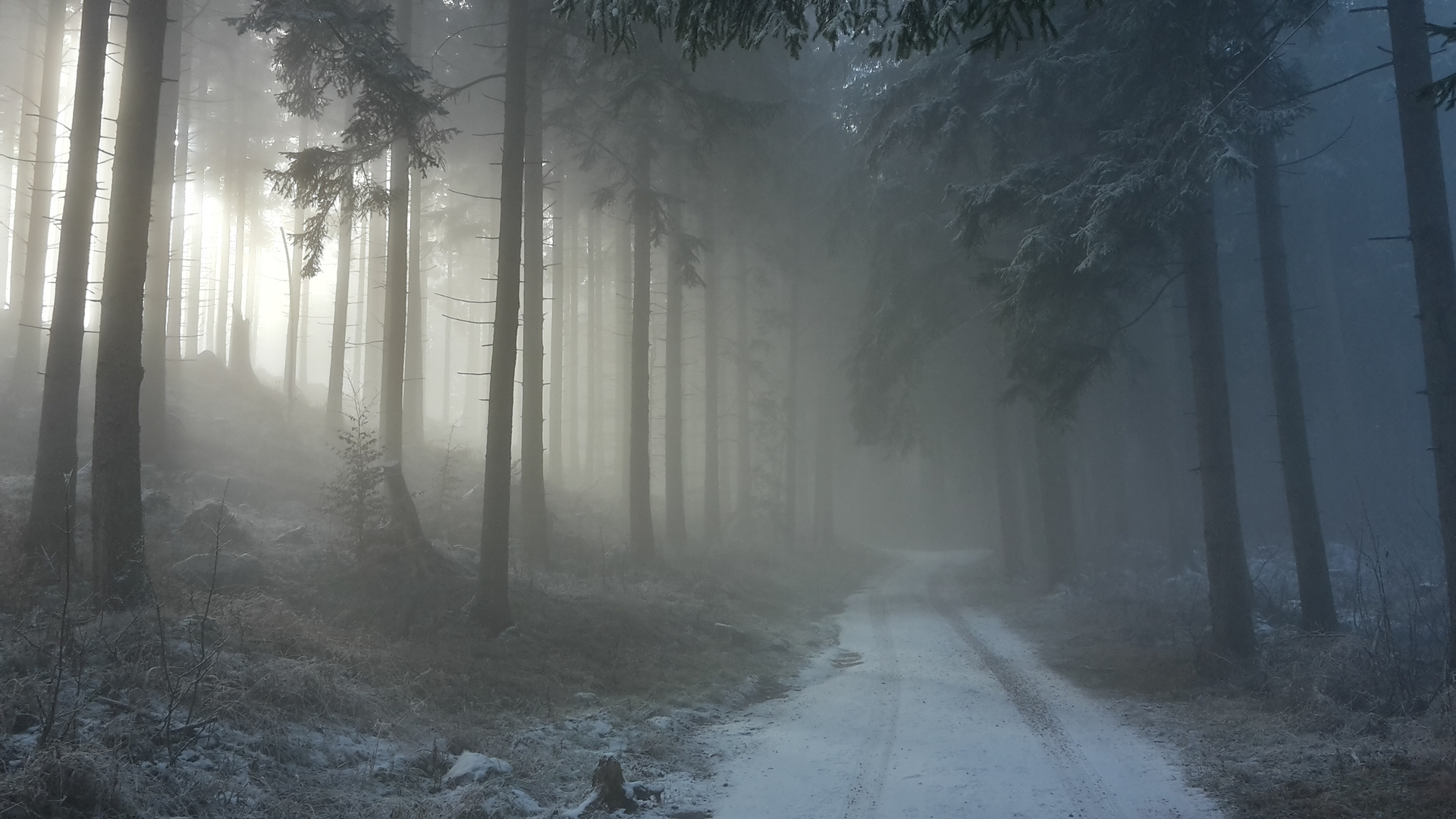 Nebel in den Bergen 