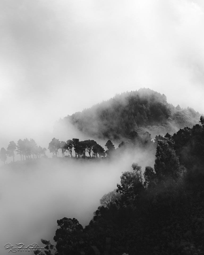 Nebel in den Bergen Kretas
