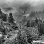 Nebel in den Bergen / Mist in the mountains