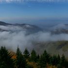 Nebel in den Bergen und Waldbrand im Kopf