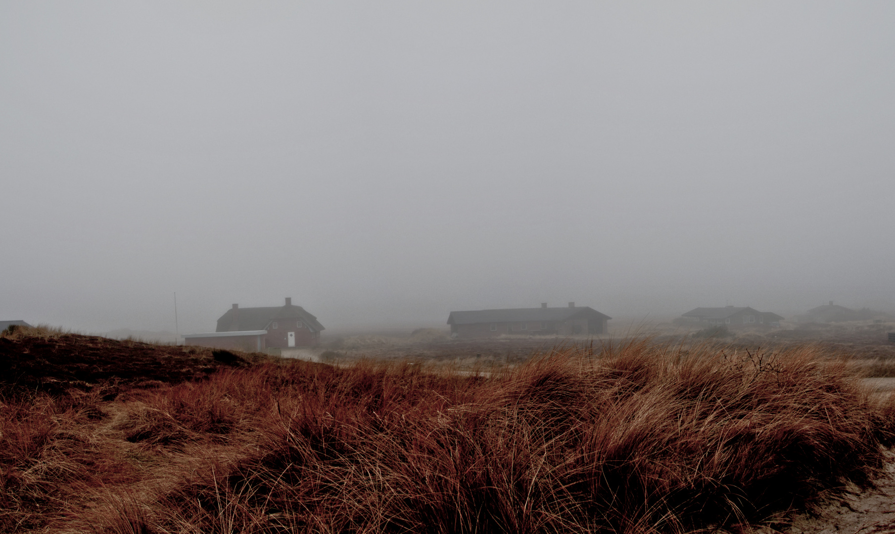 Nebel in den Dünen