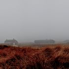 Nebel in den Dünen