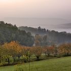 Nebel in den Hügeln der fränkischen Schweiz bei Walkersbrunn