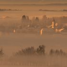 Nebel in den Niederungen