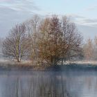 Nebel in den Ruhrauen