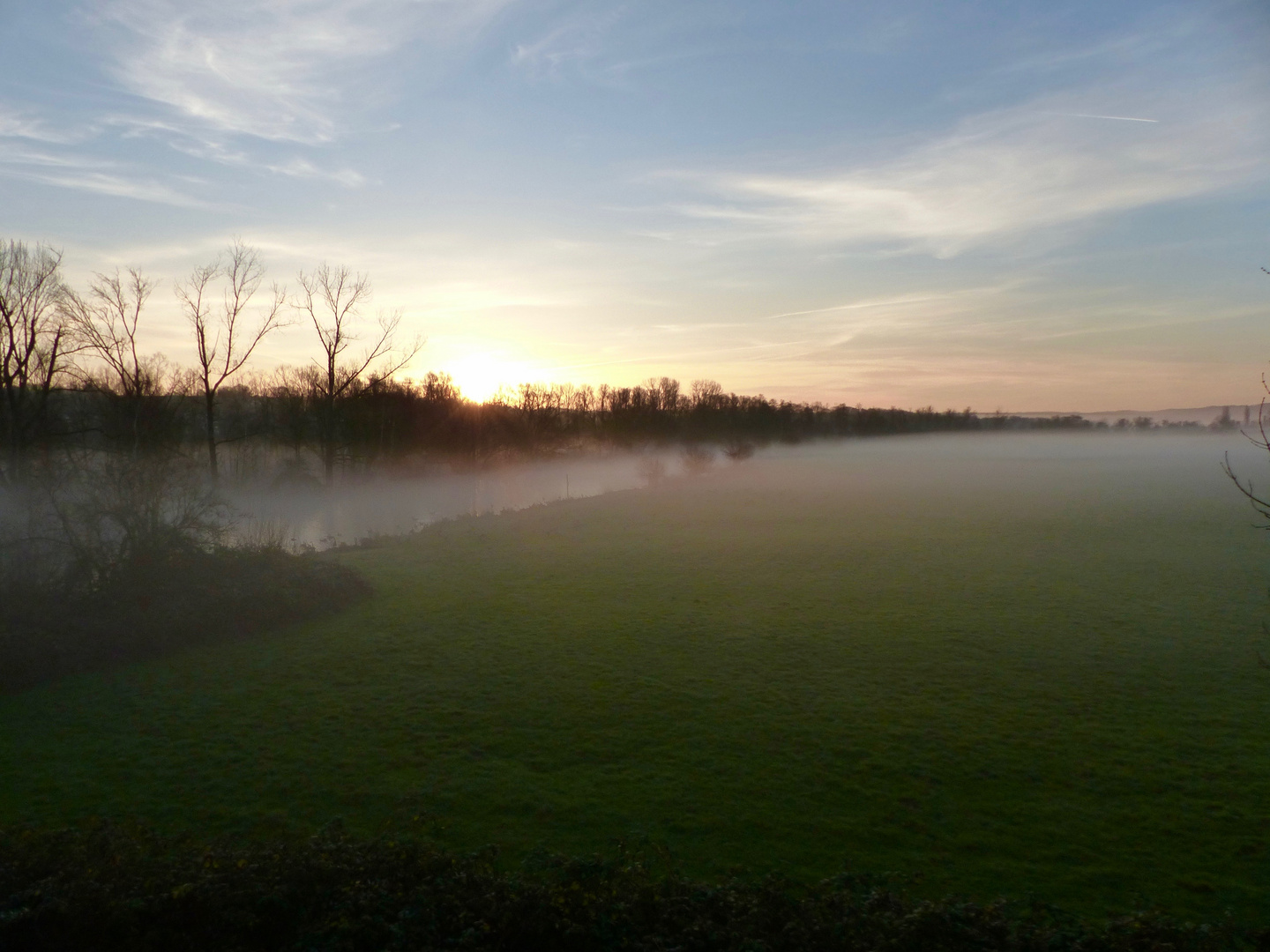 Nebel in den Ruhrauen