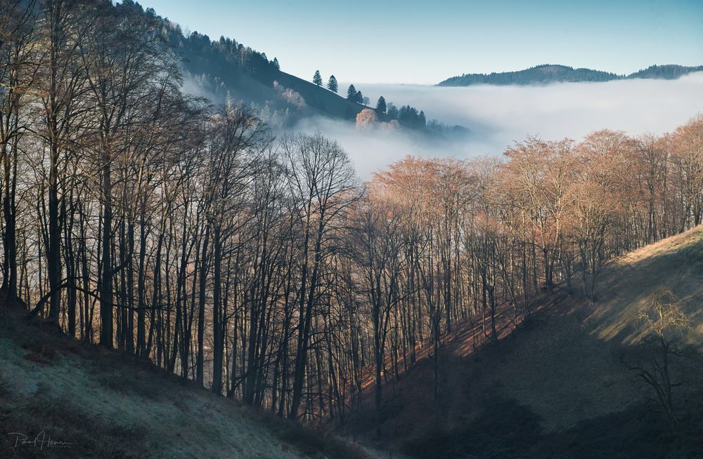 Nebel in den Tälern