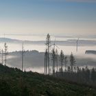 Nebel in den Tälern (2021_11_11_9206_ji)