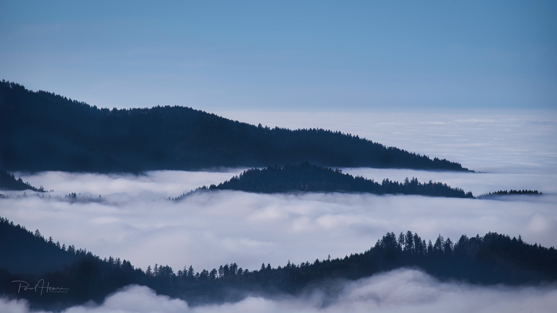 Nebel in den Tälern II