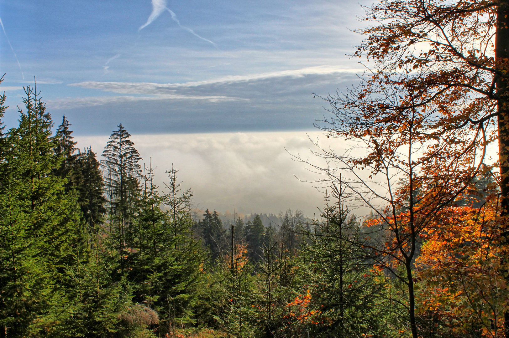 Nebel in den Tälern und Sonnenschein auf den Höhen des Steinwaldes