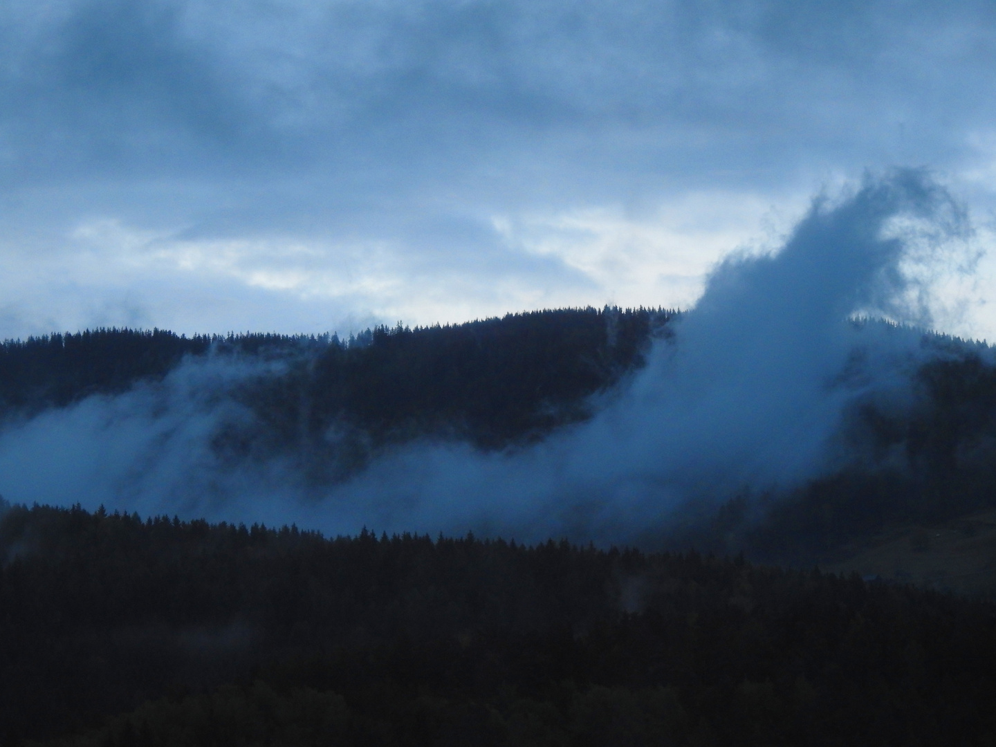 nebel in den wäldern 1