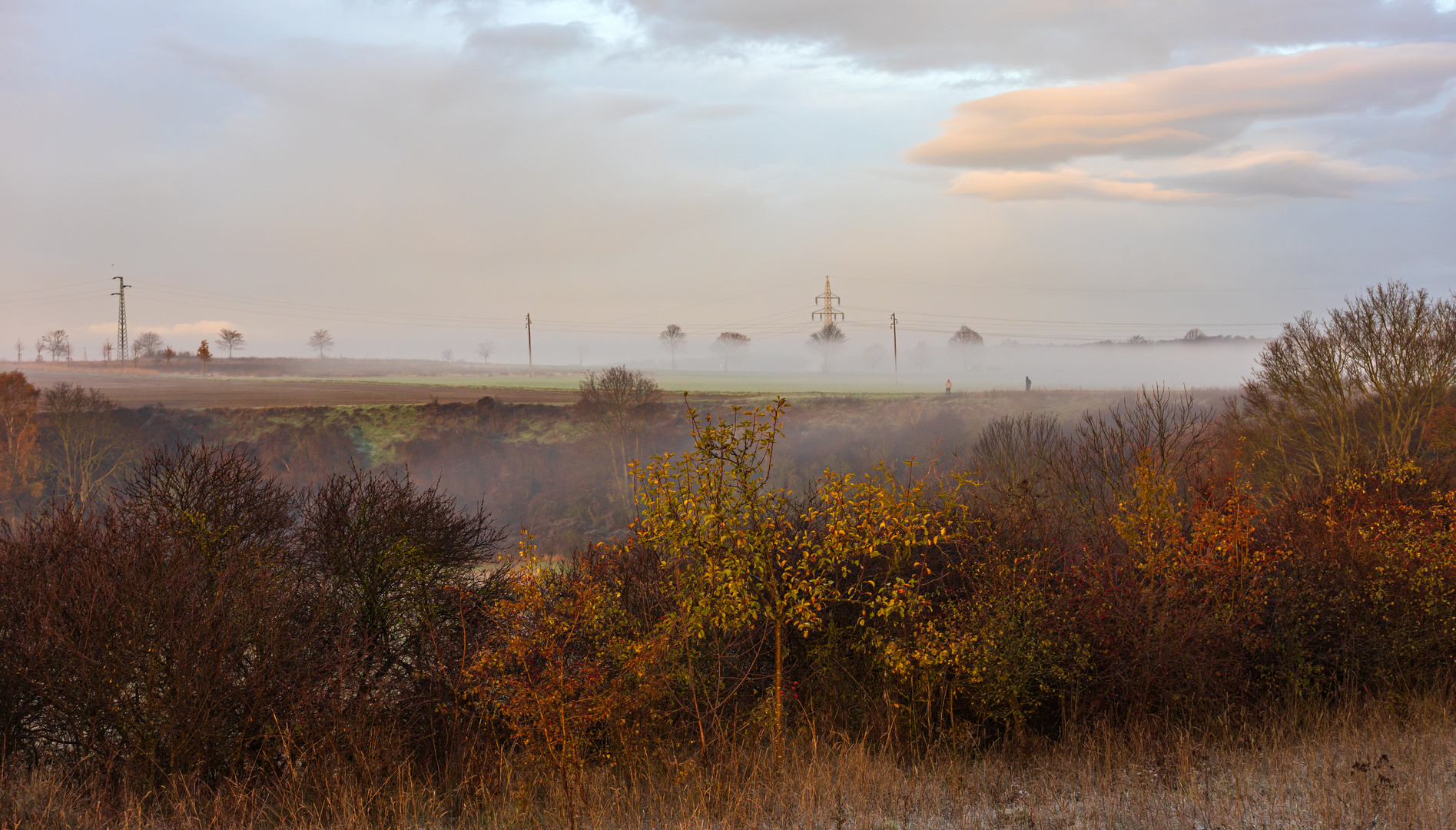 Nebel in den Wiesen an der Kaiserpfalz Werla