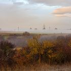 Nebel in den Wiesen an der Kaiserpfalz Werla