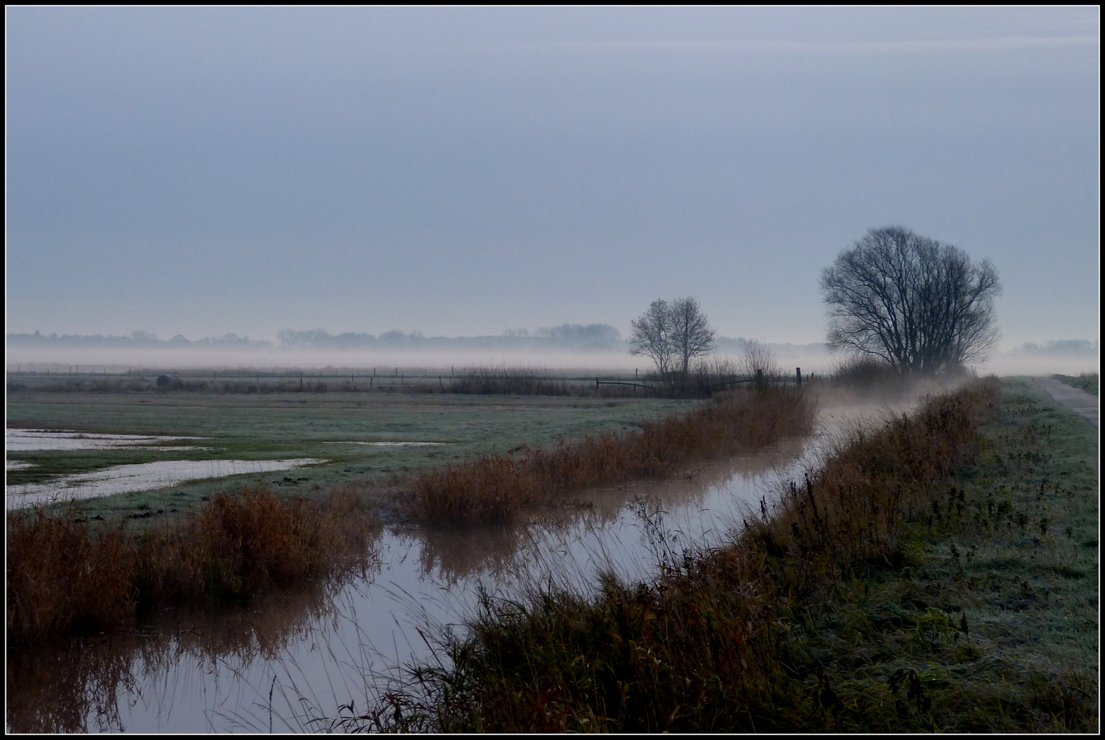 Nebel in den Wümmewiesen