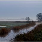 Nebel in den Wümmewiesen