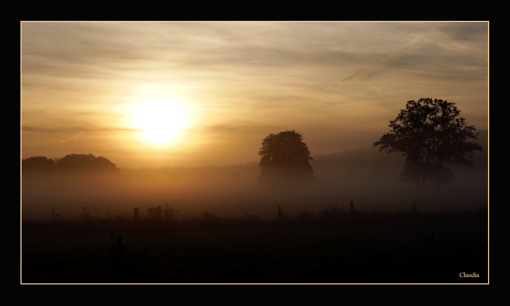 Nebel in den Wümmewiesen