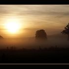 Nebel in den Wümmewiesen