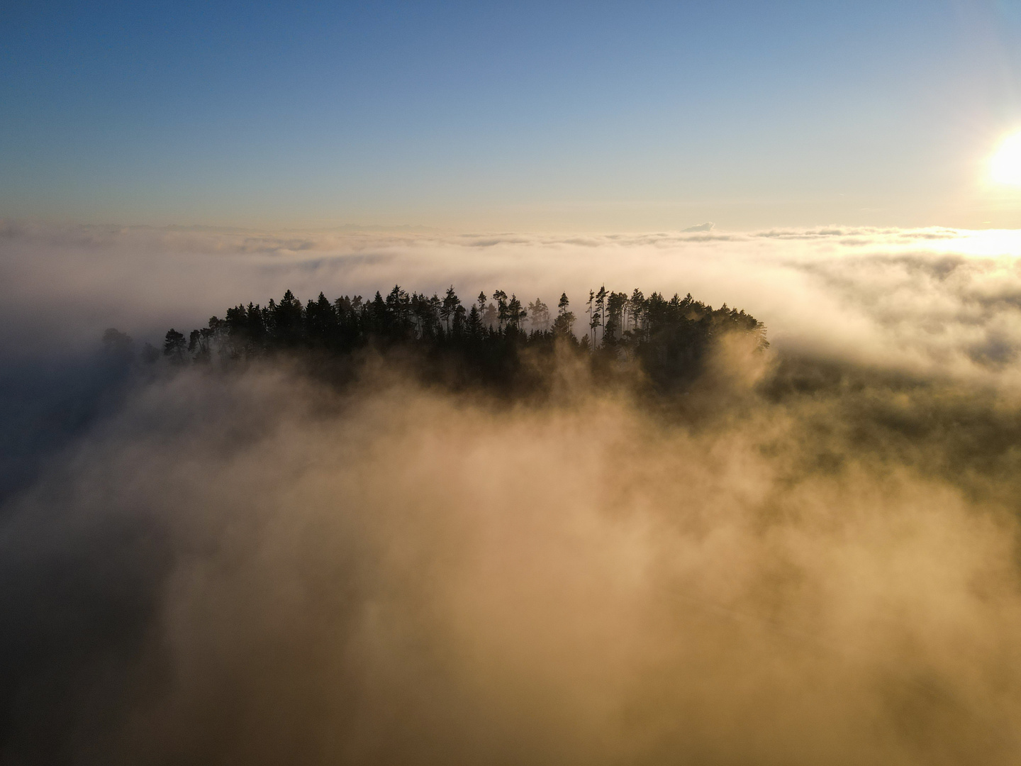 Nebel in der Abendstimmung