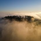 Nebel in der Abendstimmung