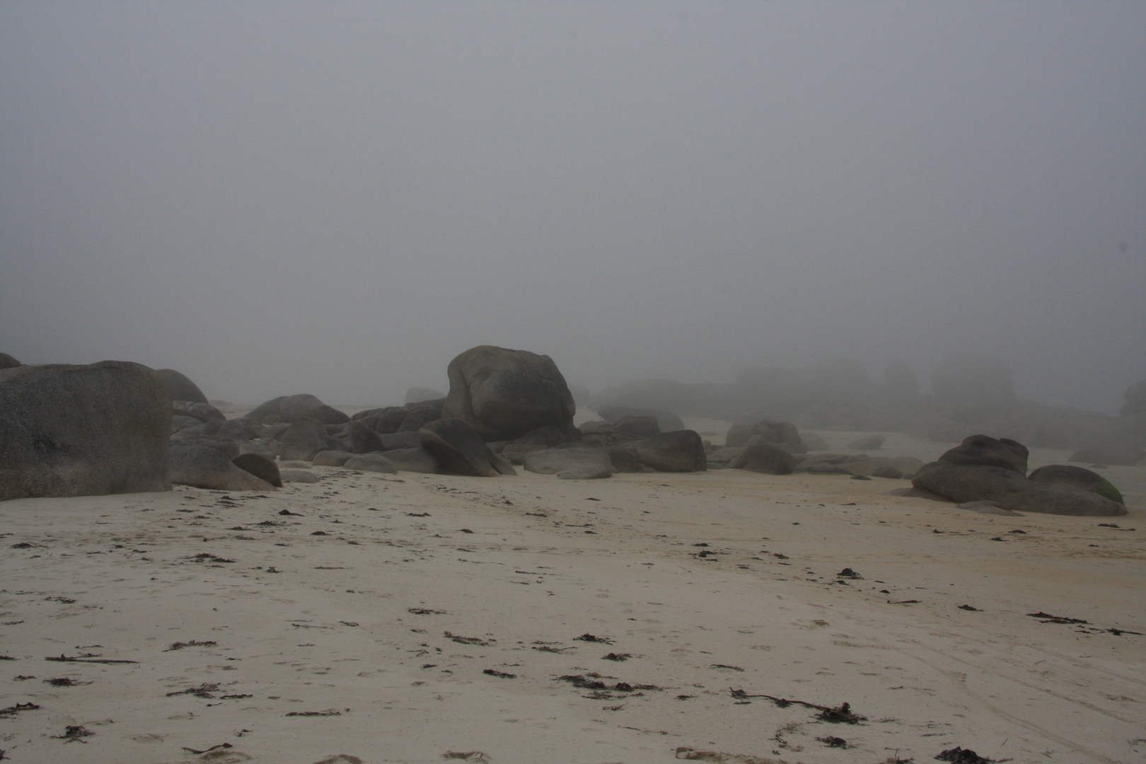 Nebel in der Bretagne