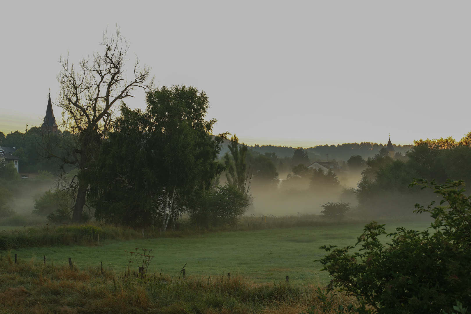 Nebel in der Eifel