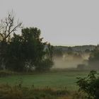 Nebel in der Eifel