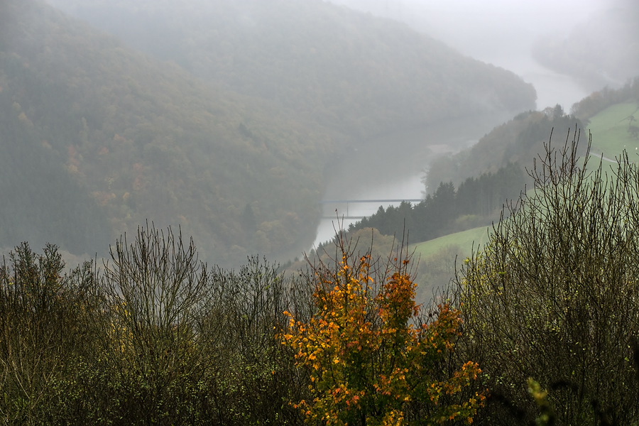 Nebel in der Eifel