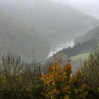 Nebel in der Eifel