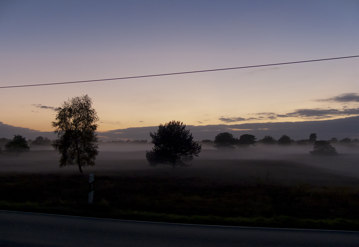 Nebel in der Heide