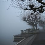 Nebel in der Konstanzer Seestrasse