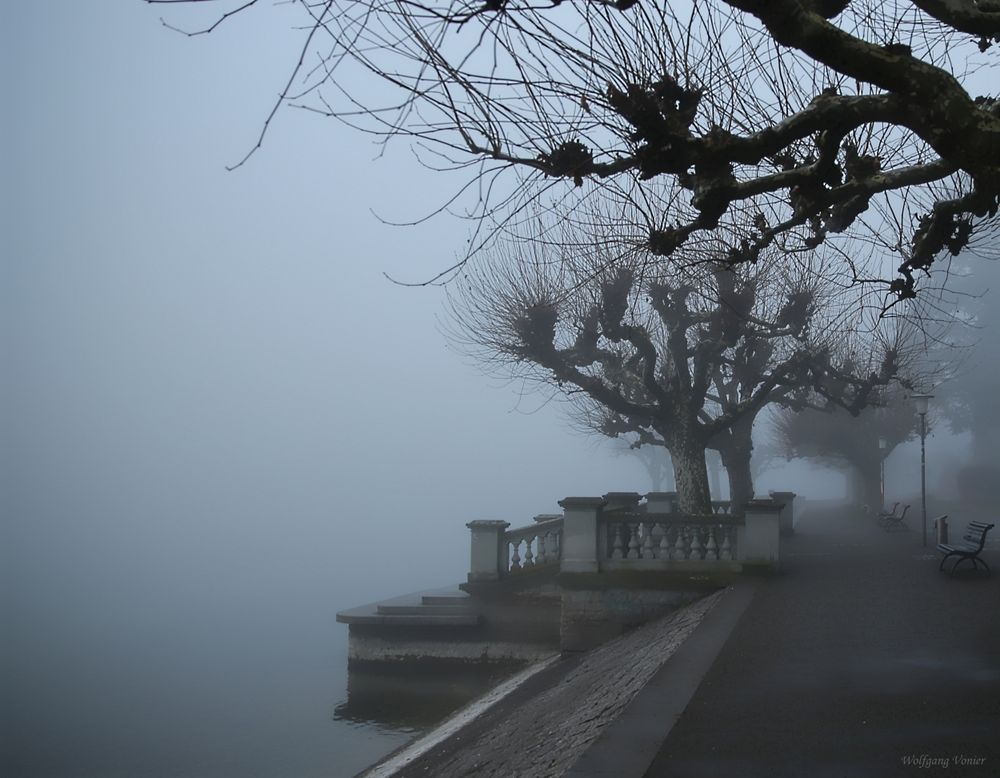 Nebel in der Konstanzer Seestrasse