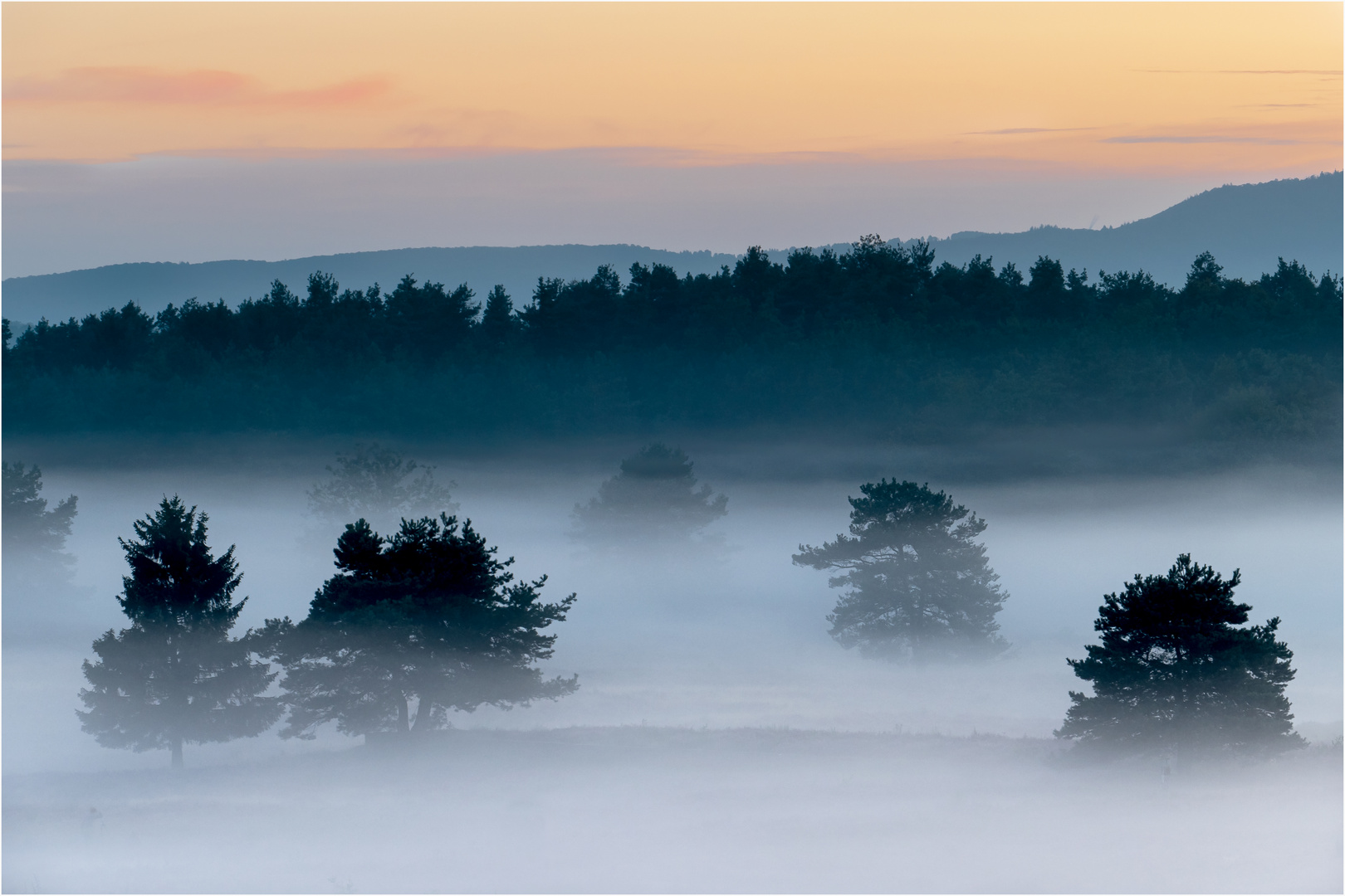 Nebel in der Mehlinger Heide